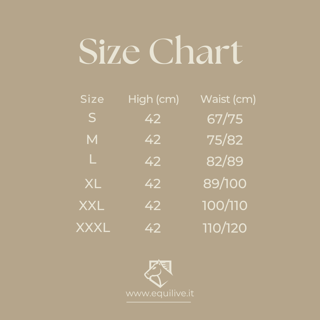 EquiLive - La Soluzione Definitiva Per La Tua Postura