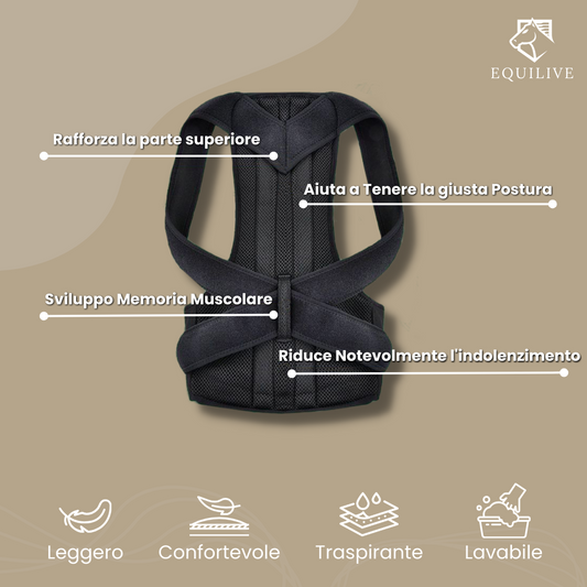 EquiLive – Die ultimative Lösung für Ihre Körperhaltung